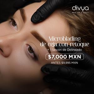 MICROBLADING DE CEJA CON RETOQUE