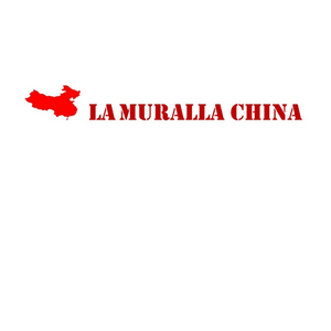 LA MURALLA CHINA